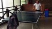 Ce chimpanzé maitrise mieux le ping-pong que certains humains !