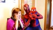 Spiderman Prank vs Frozen Elsa & Joker w_ King Kong, Spiderbaby, Princess Anna & Funny SUperhero-t0pHUS3ZbgM part 8