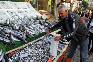 Denizlerin "Kuru Fasulyesi" Hamside de Fiyat Düştü