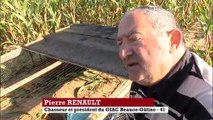Loir-et-Cher: au secours de la perdrix grise
