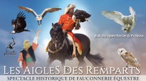 Aigles des Remparts - Spectacle à Provins - B.A