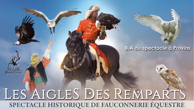 Aigles des Remparts - Spectacle à Provins - B.A