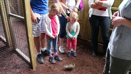 VIDEO. Loudunais : visite du cœur animalier de Center Parcs