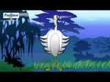 Tale Toons - The Swan & The Crab - English