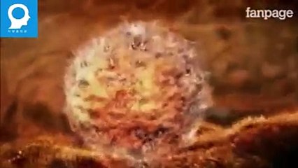 Thật vi diệu. Bắt đầu từ lúc sơ khai cho tới hình thành nên 1 con người