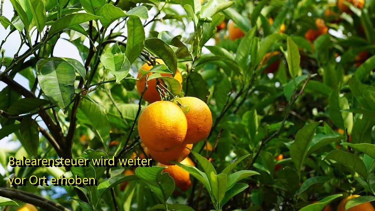 Reise TV: Balearen - Arlberg - Dubai - China