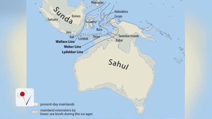 DNA Research Finds The World's Oldest Civilization