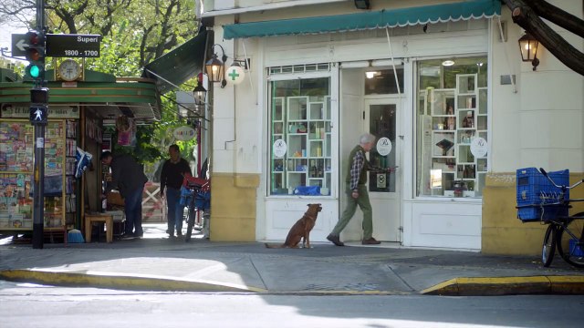 Я не смог сдержать слез, когда увидел, как этот пес благодарит донора, спасшего его хозяина! Смотреть всем