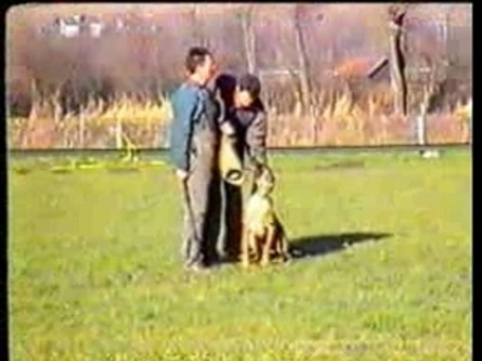 Urs  von Löwenfels - Schutzdienst