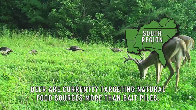 Rut Reporters 2016: Season Outlook