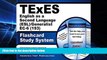 Big Deals  TExES English as a Second Language (ESL)/Generalist EC-6 (193) Flashcard Study System: