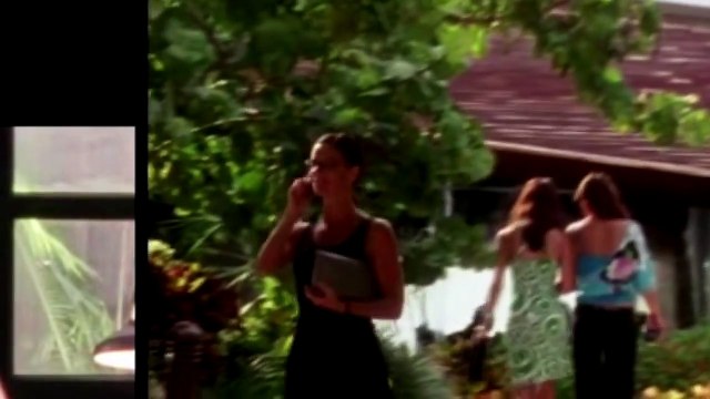 Burn Notice S03E14 Partners in Crime