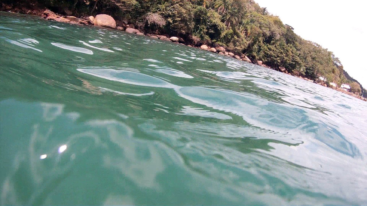 Natureza Selvagem, Marinha, Mergulhando, Ubatuba, SP, Brasil, Natureza Marinha, Fantástica, Apneia, 10 m, Setembro, primavera, 2016,(20)