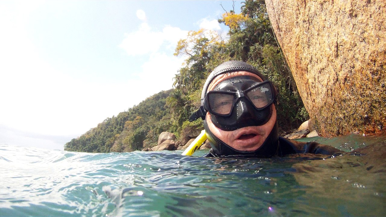 Natureza Selvagem, Marinha, Mergulhando, Ubatuba, SP, Brasil, Natureza Marinha, Fantástica, Apneia, 10 m, Setembro, primavera, 2016,(37)