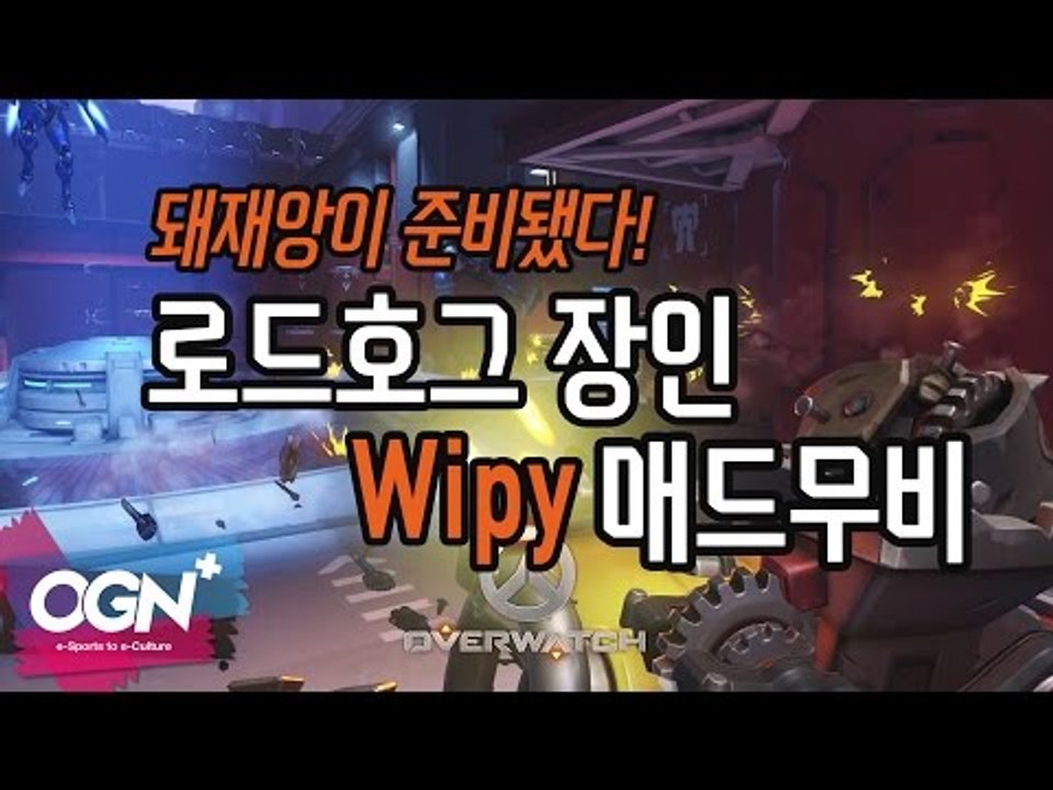 돼재앙이 준비됐다! 로드호그 장인 Wipy 매드무비 Roadhog Madmovie W...