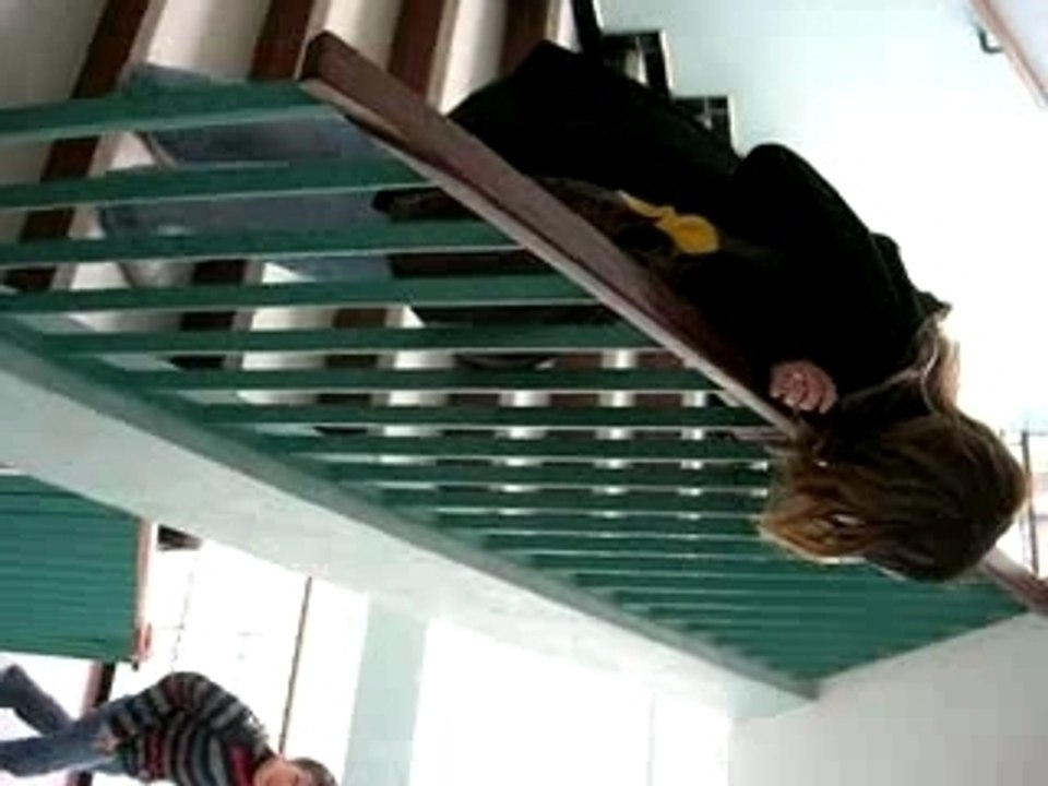 Canard boiteux et rire de phoque