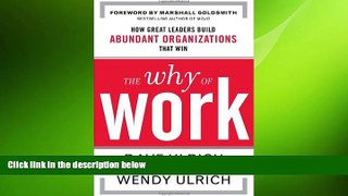 FREE DOWNLOAD  The Why of Work: How Great Leaders Build Abundant Organizations That Win  FREE