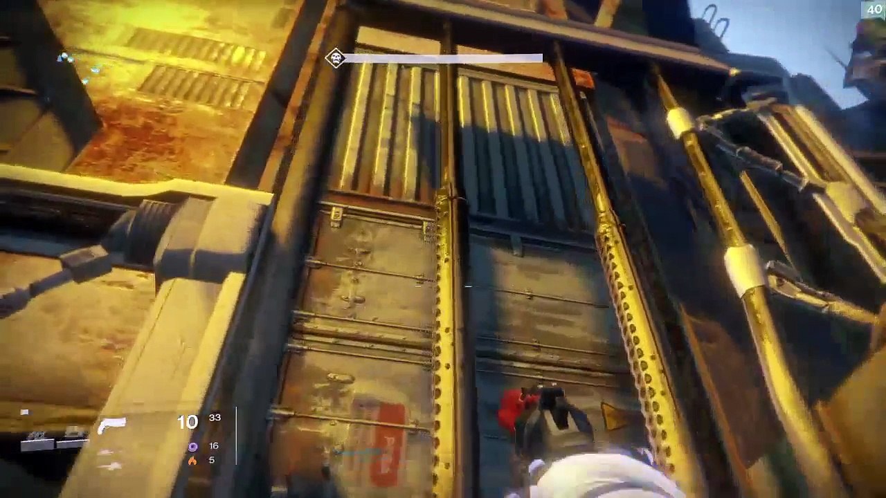 Destiny mit Spinne (23)