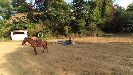 Belle Dame de Giez - Montoir