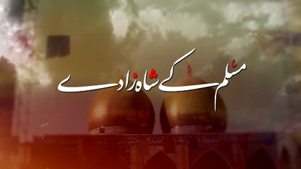 Mir Hasan Mir | Muslim Kay Shahzaday |  New Noha 2016 2017