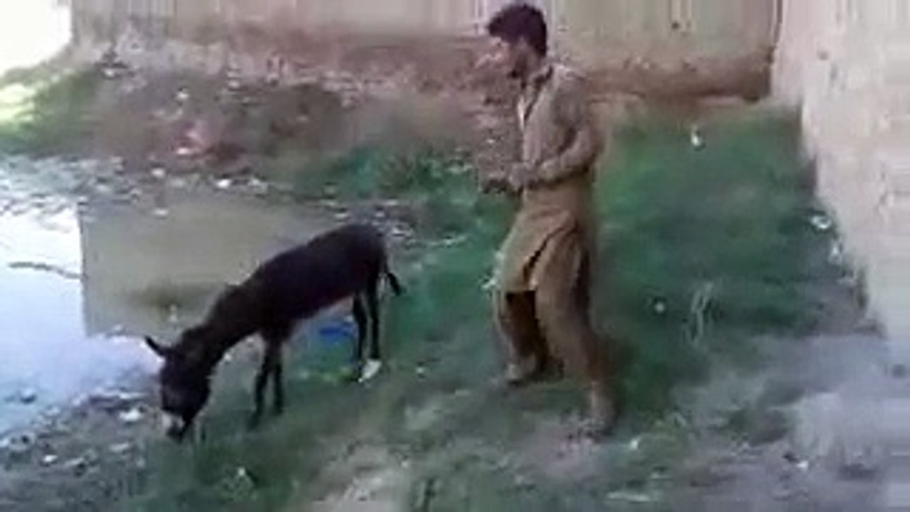 What's up fanny. Video 24.09.2016