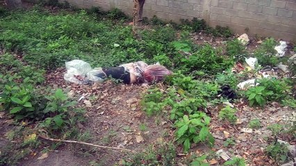 Preocupa la poca investigacion en los asesinatos de mujeres