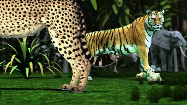 Espécies ameaçadas