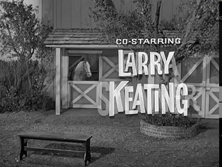 Mister Ed S4 | Patter Of Little Hooves