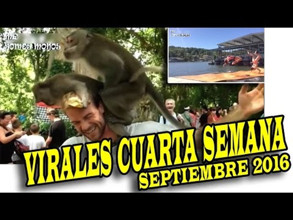 VIRALES Y FAILS MAS VISTOS DE LA CUARTA SEMANA DE SEPTIEMBRE 2016 nuevo