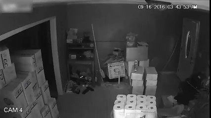 Suspect Shot and Killed during Home Invasion