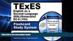 Big Deals  TExES English as a Second Language (ESL)/Generalist EC-6 (193) Flashcard Study System: