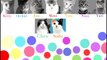 Eight Cats - Kissing You (SNSD) CMV