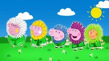 Pepa Pig Flower Finger Family Nursery Rhymes and More Lyrics