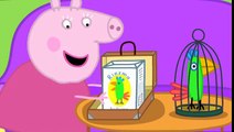 Peppa Pig en Español - Segunda Temporada - Capitulo 3 - Las Vacaciones de Polly - Peppa Pig 2016