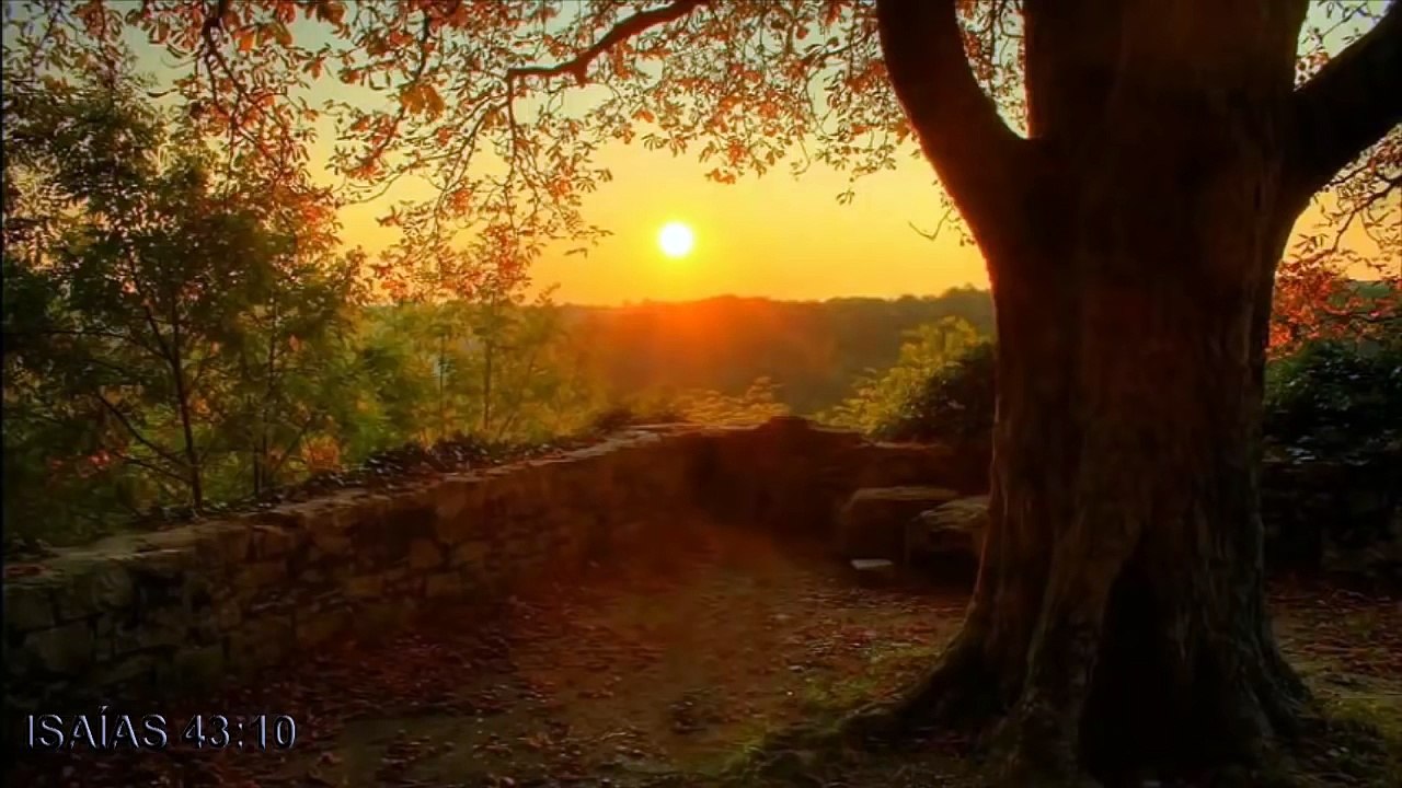 SERIA JULIO IGLESIAS CANTANDO O CÂNTICO 106