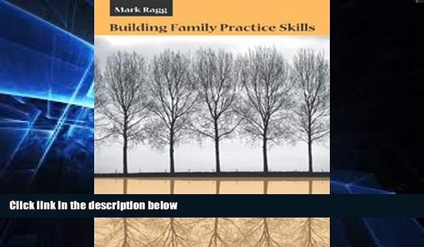 Big Deals Building Family Practice Skills: Methods, Strategies, and Tools (Marital, Couple,