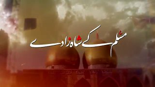 Muslim Kay Shahzaday  Mir Hasan Mir  Noha 2016 2017 l 1438 Hijri Mir Hasan Mir Nohay
