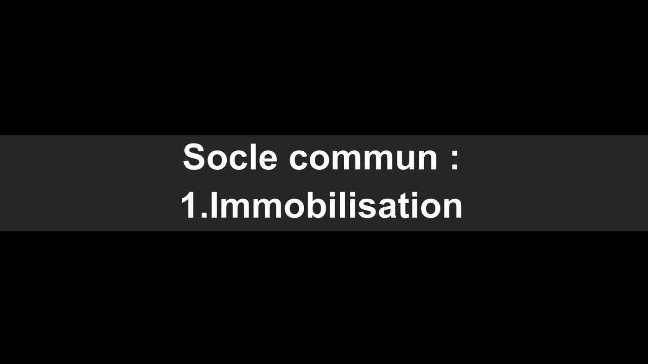 V.C.S. Porteur : Socle Commun phases 01 à 03