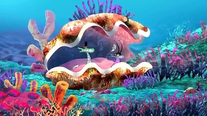 ---Oggy and the Cockroaches new episode best collection #5 - YouTube