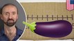 Iowa man busted for measuring himself with a cardboard ruler