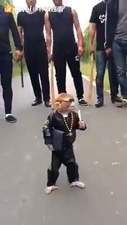 Mdrrrr Un vrai Gangster !