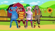 КУКУТИКИ - Веселые песни для детей про животных - Все серии - Сборник