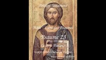 Psaume 23 - Le Bon Pasteur - Bible - Livre des Psaumes
