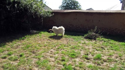 Après la douche, choueete une nouvelle balle