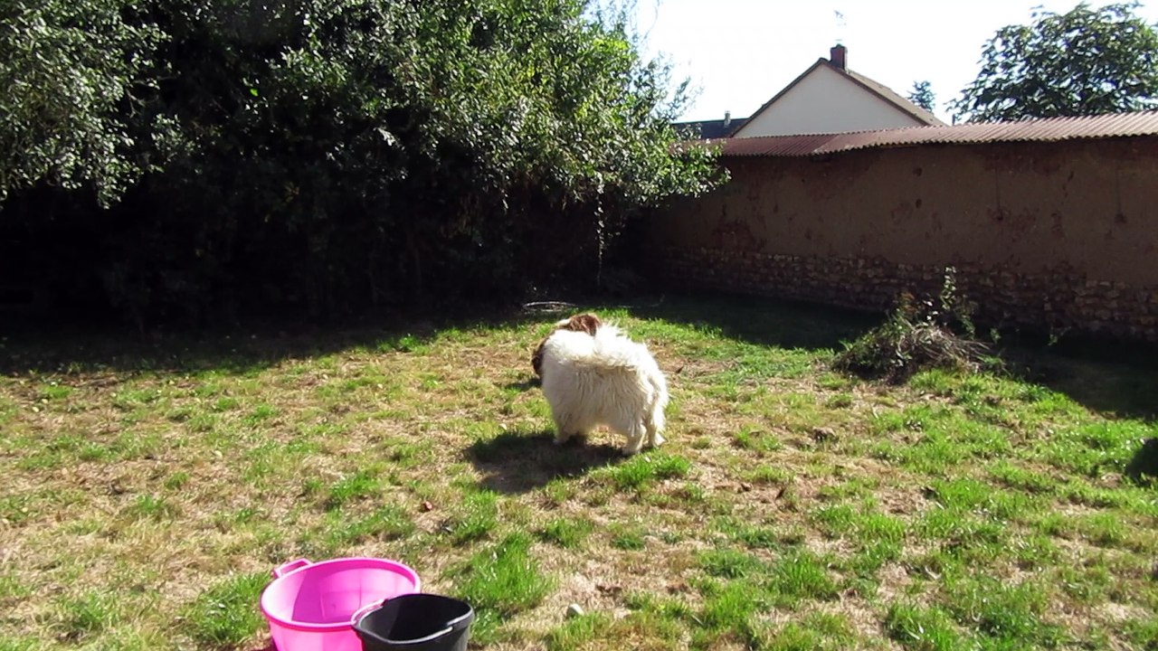 Après le grand nettoyage ^_^