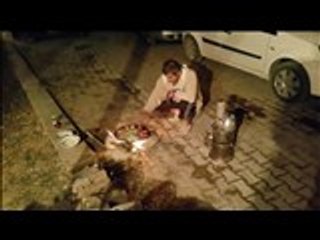 baştürk deveci köyü 2016