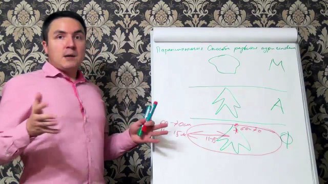 Евгений Грин — Парапсихология — Способы развития ауры человека